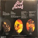Pink Fairies* - Kings Of Oblivion (LP, Album, Ltd, RE, Unofficial, Blu)
