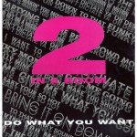 2 In A Room - Do What You Want (12