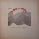A Hawk And A Hacksaw - Darkness At Noon (LP, Album, Ltd)