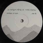 A Hawk And A Hacksaw - Darkness At Noon (LP, Album, Ltd)