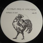 A Hawk And A Hacksaw - Darkness At Noon (LP, Album, Ltd)