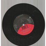 The Adventures - Washington Deceased (7