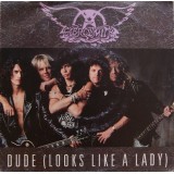 Aerosmith - Dude (Looks Like A Lady) (7