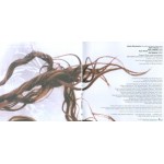 Alanis Morissette - Supposed Former Infatuation Junkie (CD, Album)