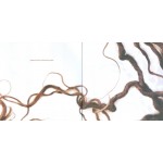 Alanis Morissette - Supposed Former Infatuation Junkie (CD, Album)