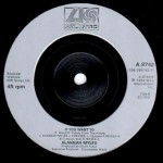 Alannah Myles - Black Velvet (7