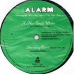 The Alarm - A New South Wales / The Rock (12