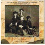 The Alarm - Where Were You Hiding When The Storm Broke? (7