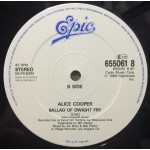 Alice Cooper (2) - Poison (12