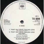 Alison Moyet - That Ole Devil Called Love (12