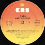 Andy* - Andy (LP, Album)