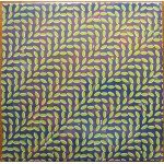 Animal Collective - Merriweather Post Pavilion (2xLP, Album, Dlx, RE, 180)