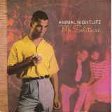 Animal Nightlife - Mr Solitaire (7