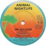 Animal Nightlife - Mr Solitaire (7