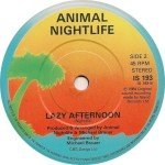 Animal Nightlife - Mr Solitaire (7