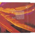 Annie Lennox - Walking On Broken Glass (CD, Single)