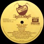 Anthony Phillips - Harvest Of The Heart (LP, Comp)