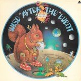 Anthony Phillips - Wise After The Event (LP, Album, Gat)