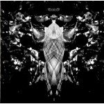 Austra - Feel It Break (CD, Album)
