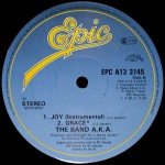 The Band A.K.A.* - Joy (12