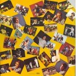 The Beach Boys - The Beach Boys Rarities (LP, Comp)