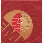 Berni Flint - I Don't Want To Put A Hold On You (7