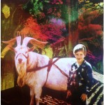 Big Deal (11) - June Gloom (2xLP, Album + CD, Album)