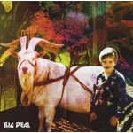 Big Deal (11) - June Gloom (CD, Album)