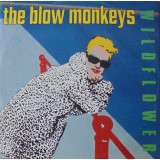 The Blow Monkeys - Wildflower (12