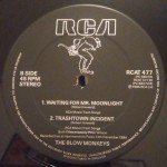 The Blow Monkeys - Wildflower (12