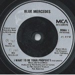 Blue Mercedes - I Want To Be Your Property (7