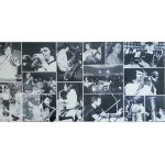 Blue Roseland Orchestra - Jubilee (LP, Album)