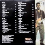 Bo Diddley - Hey! Bo Diddley (2xLP, Comp)