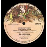 Bo Hansson - Music Inspired By Watership Down (LP, Album)