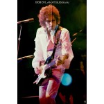 Bob Dylan - Bob Dylan At Budokan (2xLP, Album)