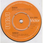 Buster (2) - Sunday (7