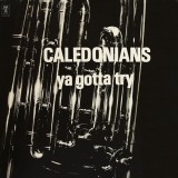 Caledonians - Ya Gotta Try (LP, Album)