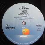 Cat Stevens - Teaser And The Firecat (LP, Album, RE)