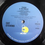 Cat Stevens - Teaser And The Firecat (LP, Album, RE)