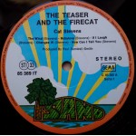 Cat Stevens - Teaser And The Firecat (LP, Album, Gat)