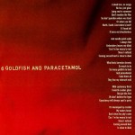 Catatonia - International Velvet (CD, Album)