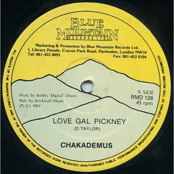Chaka Demus - Love Gal Pickney (12