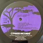 Cheryl Wheeler - Half A Book (LP, Album)
