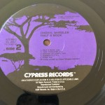 Cheryl Wheeler - Half A Book (LP, Album)
