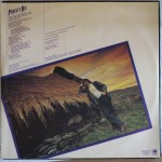 Chris de Burgh - At The End Of A Perfect Day (LP, Album)