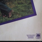 Chris de Burgh - At The End Of A Perfect Day (LP, Album)