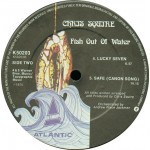 Chris Squire - Fish Out Of Water (LP, Album, Gat)