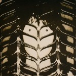 Chris Squire - Fish Out Of Water (LP, Album, Gat)