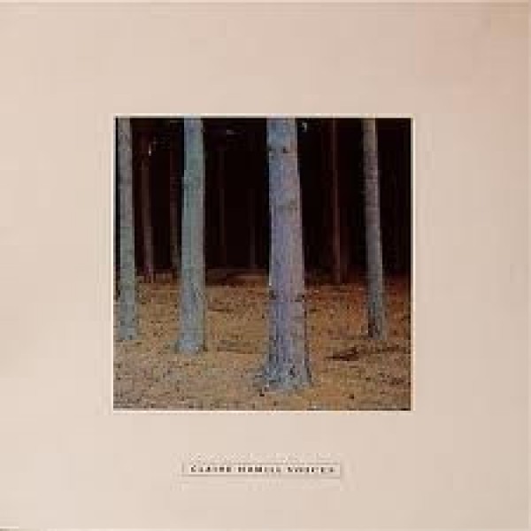Claire Hamill - Voices (LP, Album) Claire Hamill - Voices (LP, Album)