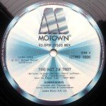 Commodores - Zoom (12